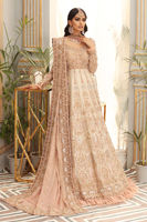 Beige Embroidered Raw Silk Gown (2-Piece) - Image 11
