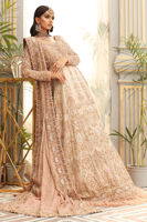Beige Embroidered Raw Silk Gown (2-Piece) - Image 12