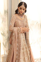 Beige Embroidered Raw Silk Gown (2-Piece) - Image 5
