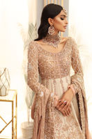 Beige Embroidered Raw Silk Gown (2-Piece) - Image 6