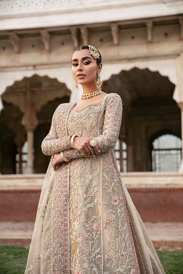 Pakistani Champagne Beige Embellished Net Silk Bridal Gown (2-Piece) - Image 3