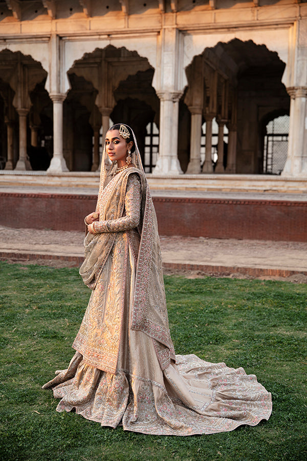 Pakistani Champagne Beige Embellished Net Silk Bridal Gown (2-Piece) - Image 4
