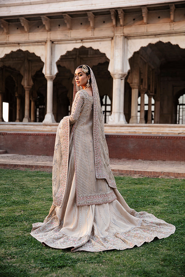 Pakistani Champagne Beige Embellished Net Silk Bridal Gown (2-Piece) - Image 6