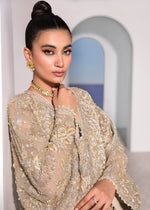 Pakistani Skin Embellished Net Kaftan Gown (3-Piece) - Image 5