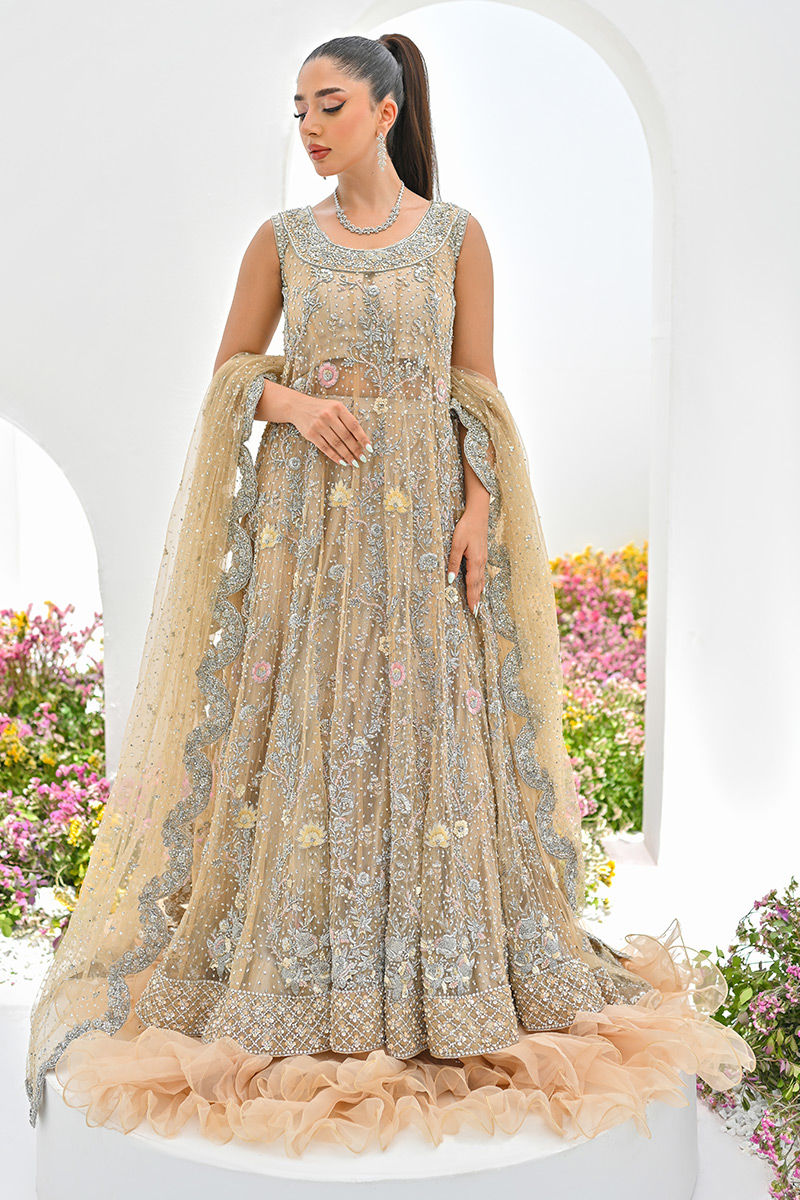 Taupe Embellished Net Kalidar Dress (2-Piece) - Image 1