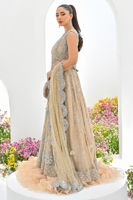 Taupe Embellished Net Kalidar Dress (2-Piece) - Image 7