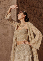 Indian Beige Embellished Net Bridal Lehenga (3-Piece) - Image 5