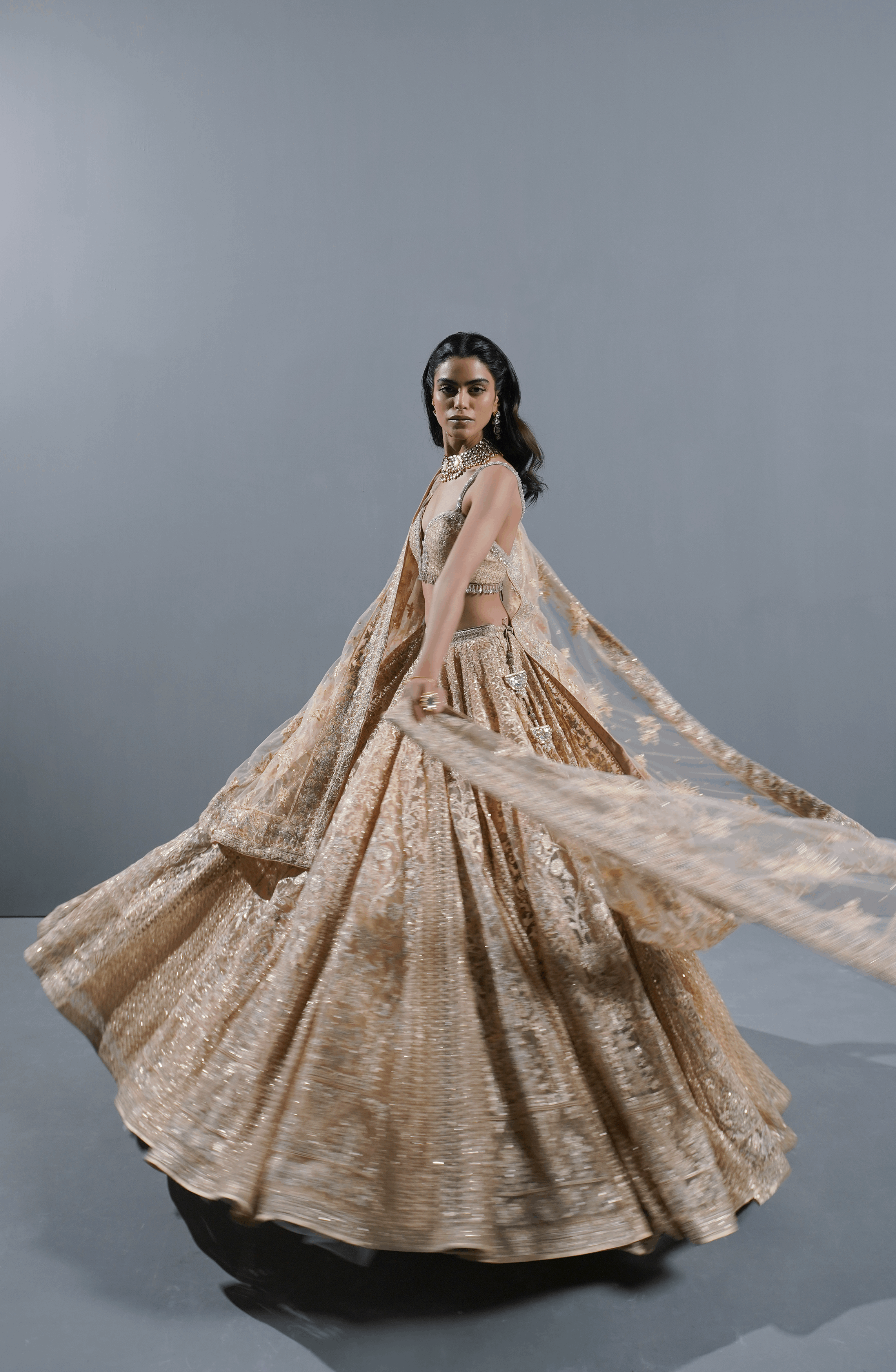 Light Beige Embroidered Net Lehenga Choli (3-Piece) - Image 2