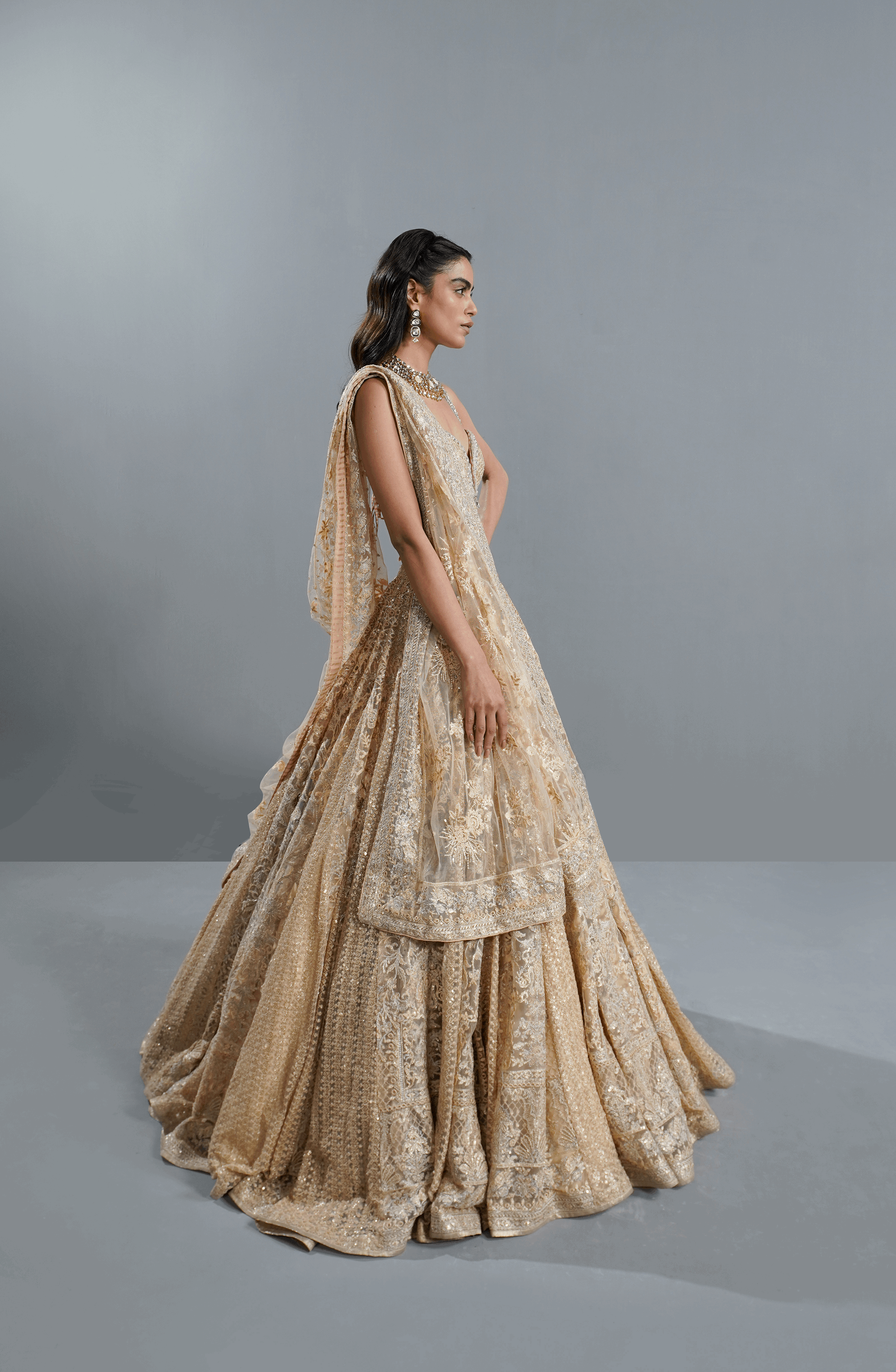 Light Beige Embroidered Net Lehenga Choli (3-Piece) - Image 3