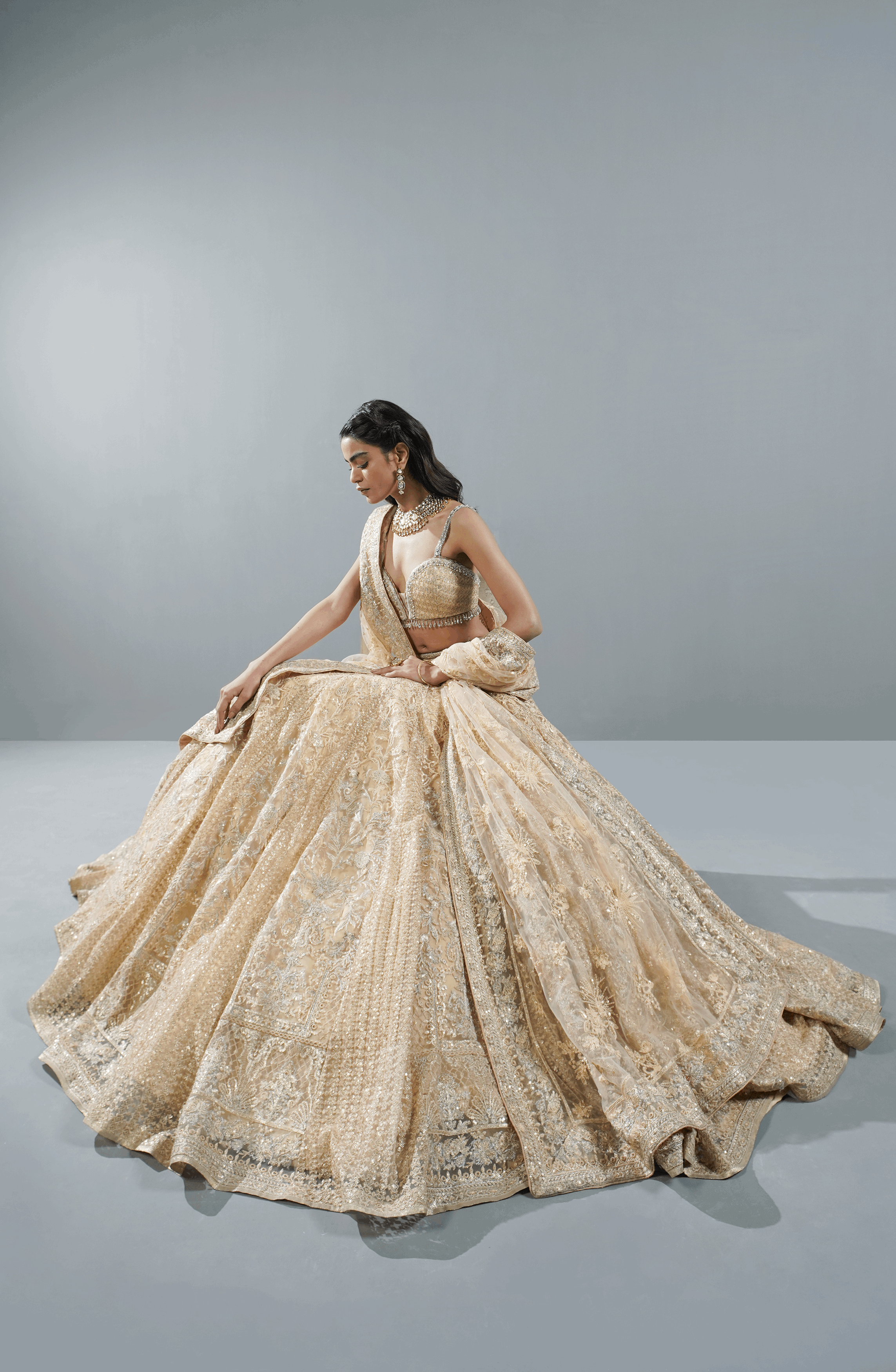 Light Beige Embroidered Net Lehenga Choli (3-Piece) - Image 6