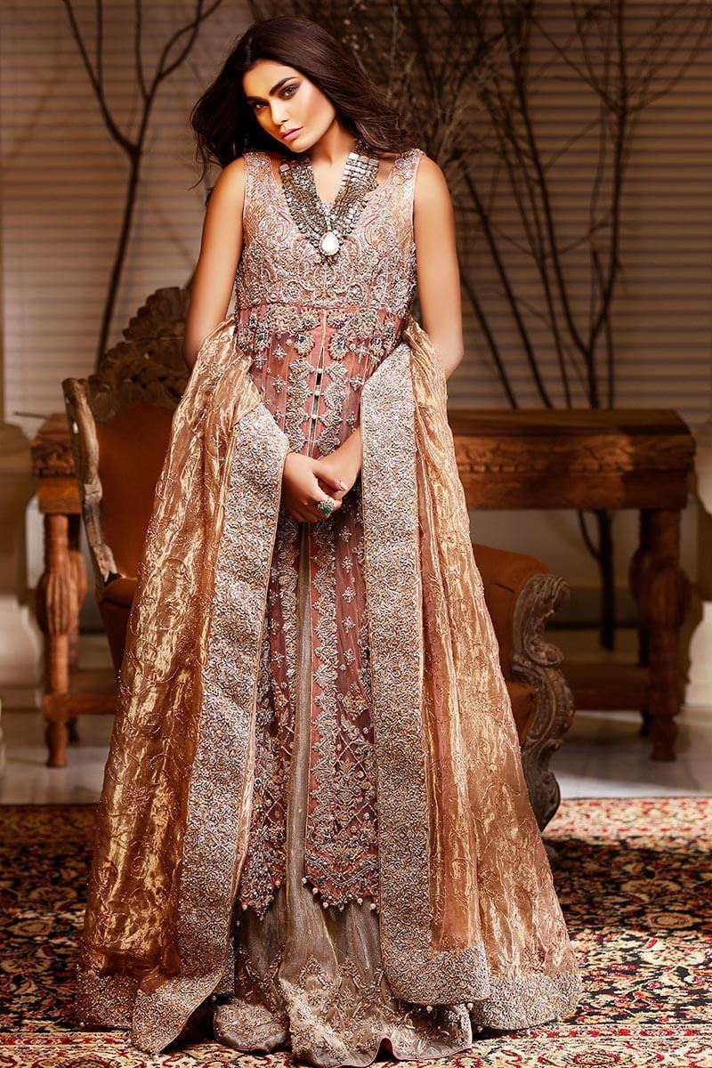 Brown & Beige Embroidered Net Gown with Lehenga (3-Piece) - Image 1
