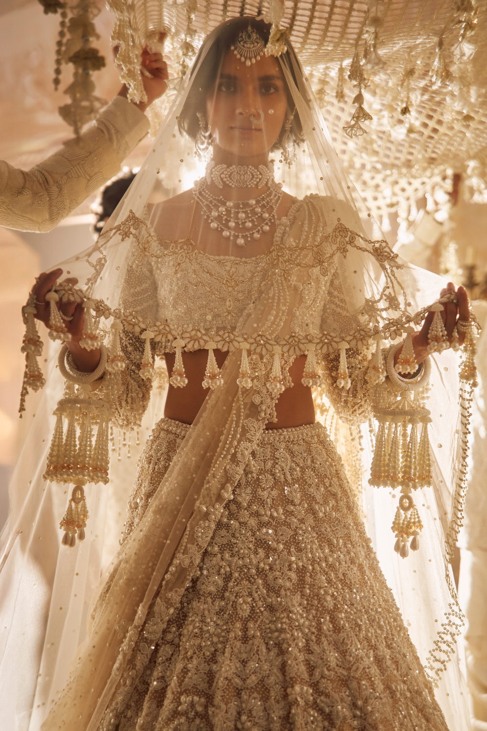 Nude Pearl & Crystal Net Lehenga Set (3-Piece) - Image 10