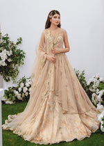 Pakistani Nude Embroidered Organza & Net Lehenga (3-Piece) - Image 2