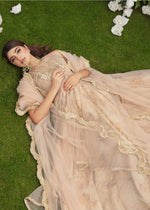 Pakistani Nude Embroidered Organza & Net Lehenga (3-Piece) - Image 3