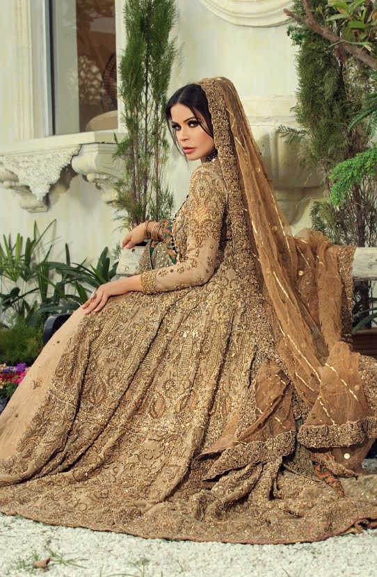 Beige Embellished Organza Gown with Raw Silk Lehenga (3-Piece) - Image 1