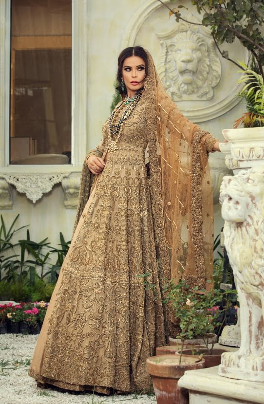 Beige Embellished Organza Gown with Raw Silk Lehenga (3-Piece) - Image 2