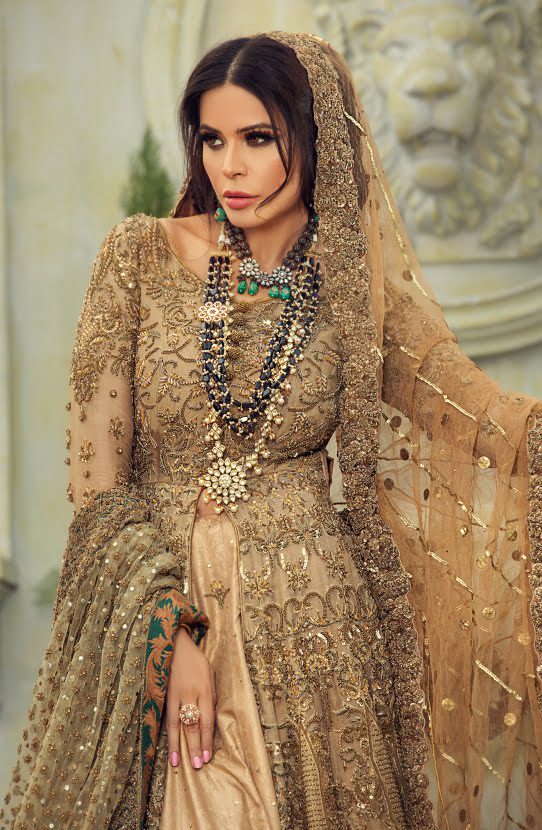 Beige Embellished Organza Gown with Raw Silk Lehenga (3-Piece) - Image 3