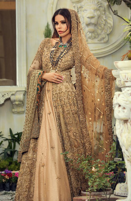 Beige Embellished Organza Gown with Raw Silk Lehenga (3-Piece) - Image 4