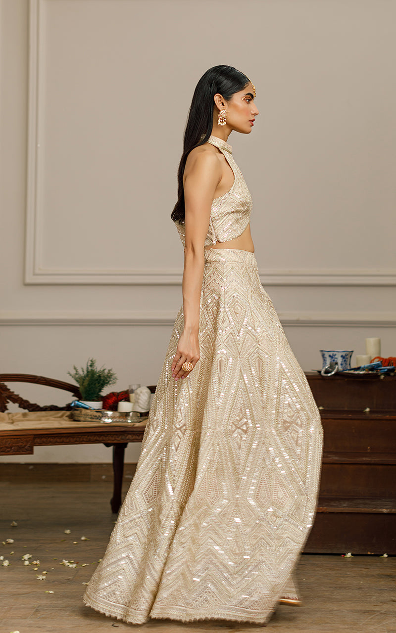 Beige Embroidered Organza Lehenga Set (2-Piece) - Image 3