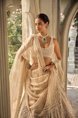 Nude Pearl & Sequin Tissue Silk Lehenga (3-Piece) - Image 4