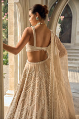 Nude Pearl & Sequin Tissue Silk Lehenga (3-Piece) - Image 5