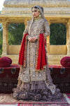 Pakistani Taupe Hand-Embellished Tulle Lehenga (3-Piece) - Image 2