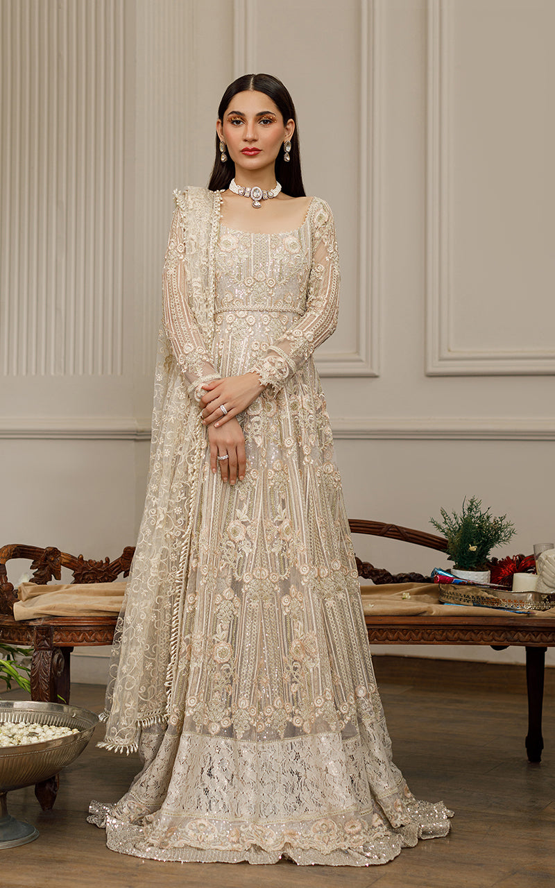 Beige Embroidered Net Maxi Dress (2-Piece) - Image 1