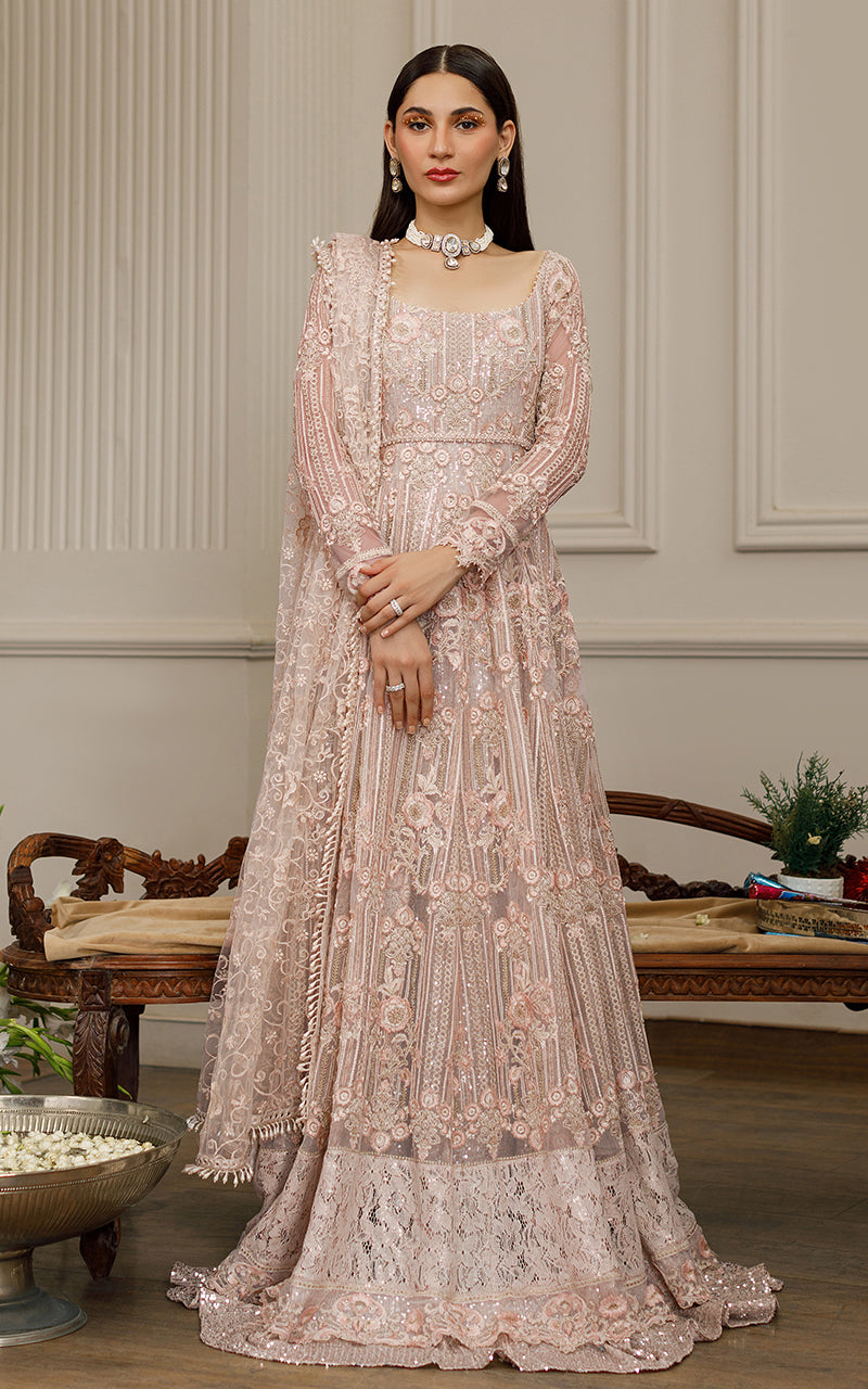 Beige Embroidered Net Maxi Dress (2-Piece) - Image 10