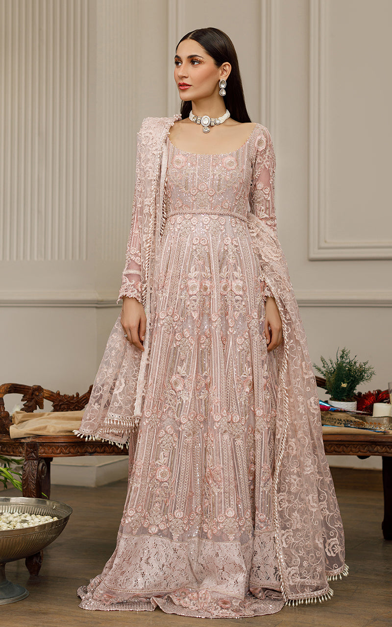 Beige Embroidered Net Maxi Dress (2-Piece) - Image 11