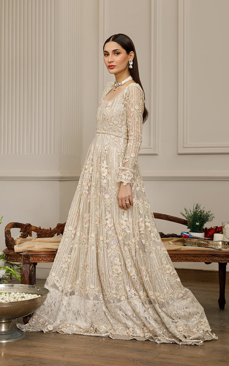 Beige Embroidered Net Maxi Dress (2-Piece) - Image 3