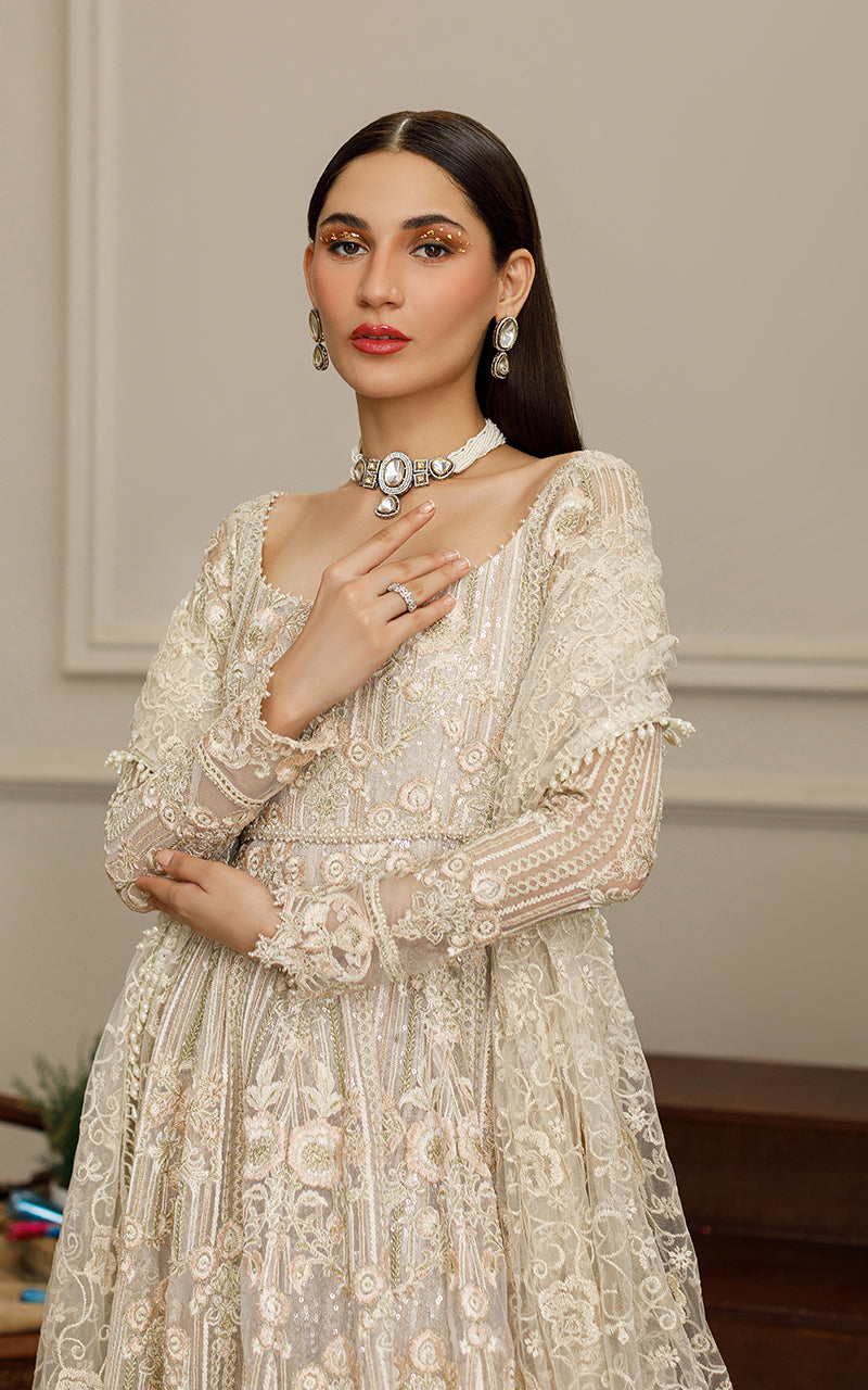 Beige Embroidered Net Maxi Dress (2-Piece) - Image 4