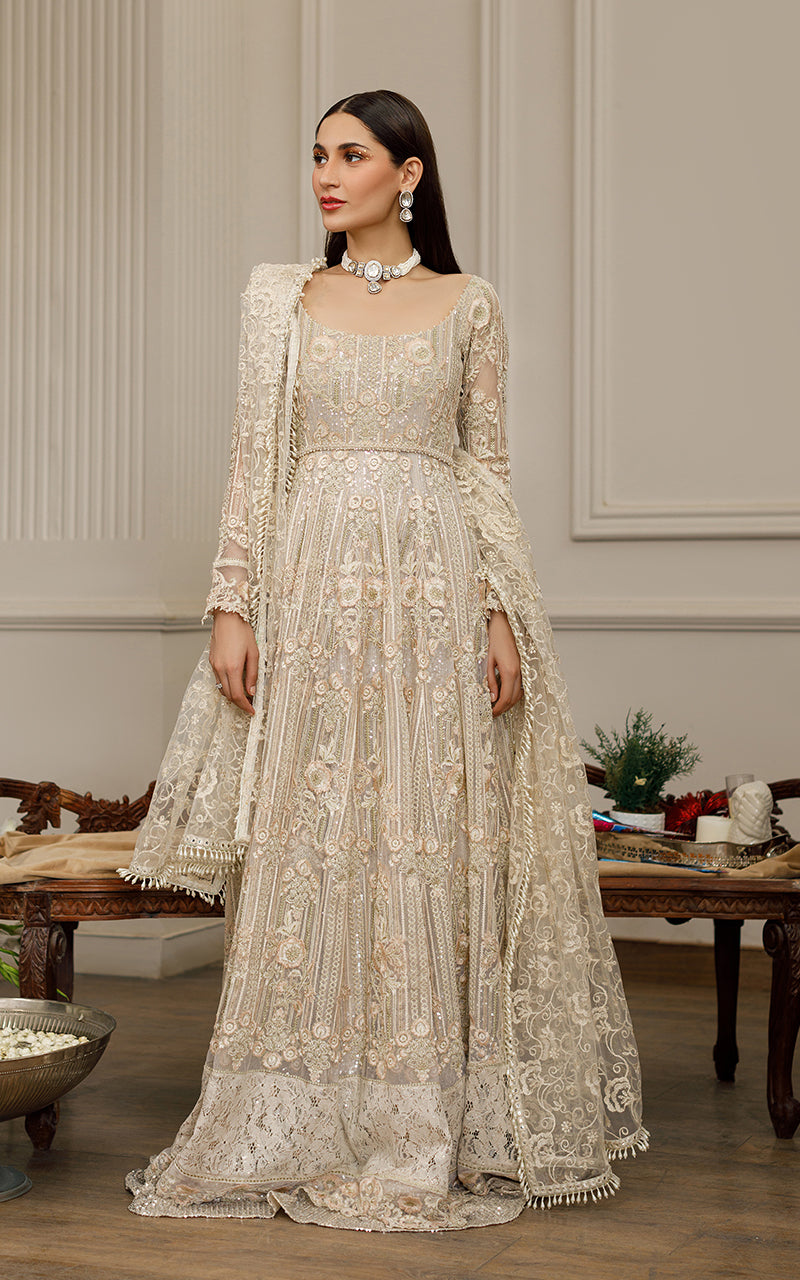 Beige Embroidered Net Maxi Dress (2-Piece) - Image 5