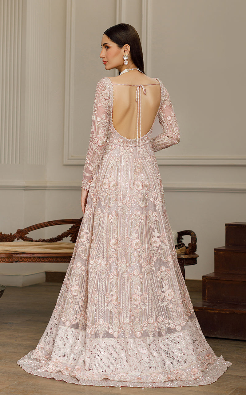 Beige Embroidered Net Maxi Dress (2-Piece) - Image 7