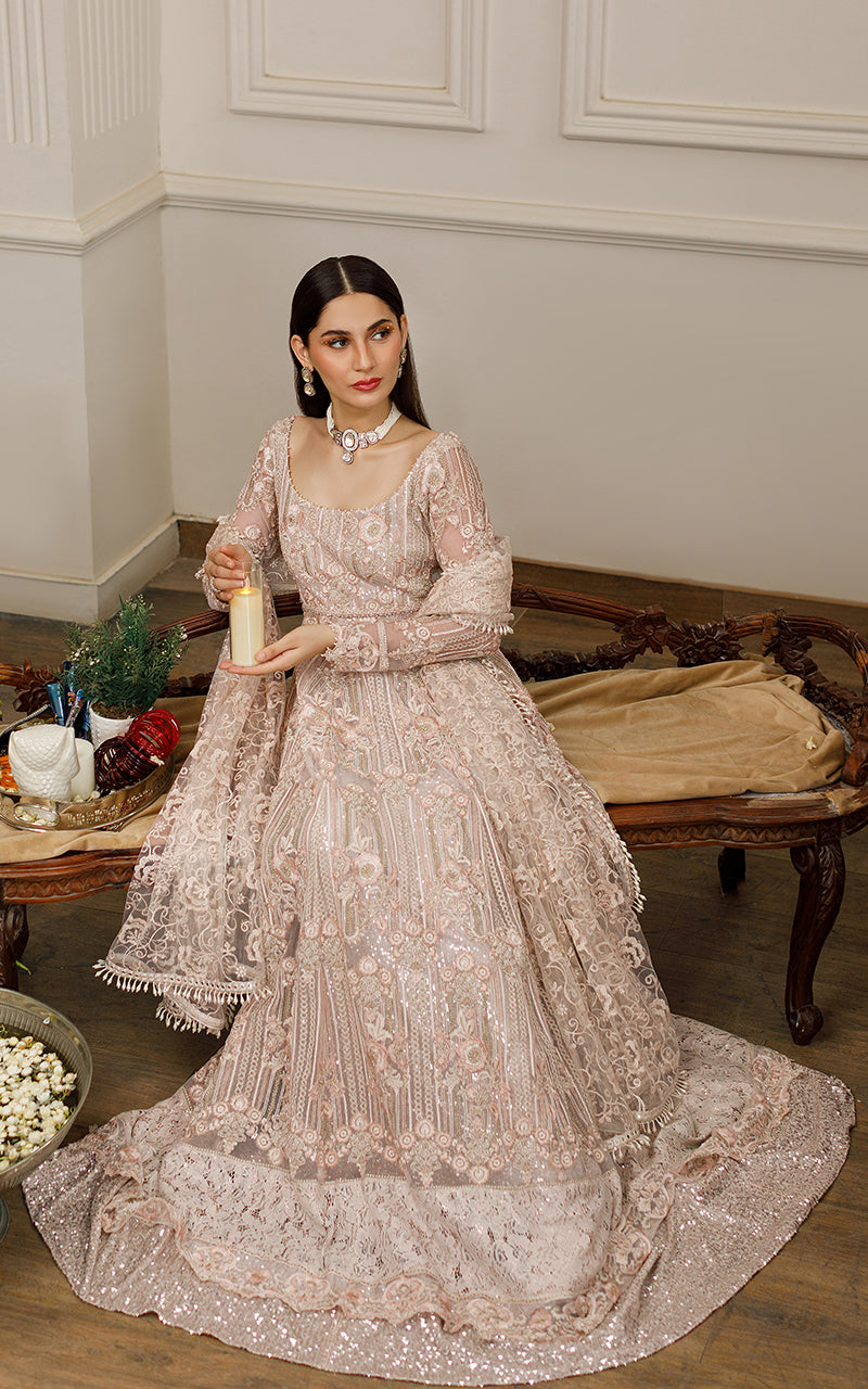 Beige Embroidered Net Maxi Dress (2-Piece) - Image 8