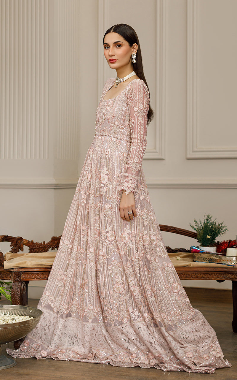 Beige Embroidered Net Maxi Dress (2-Piece) - Image 9