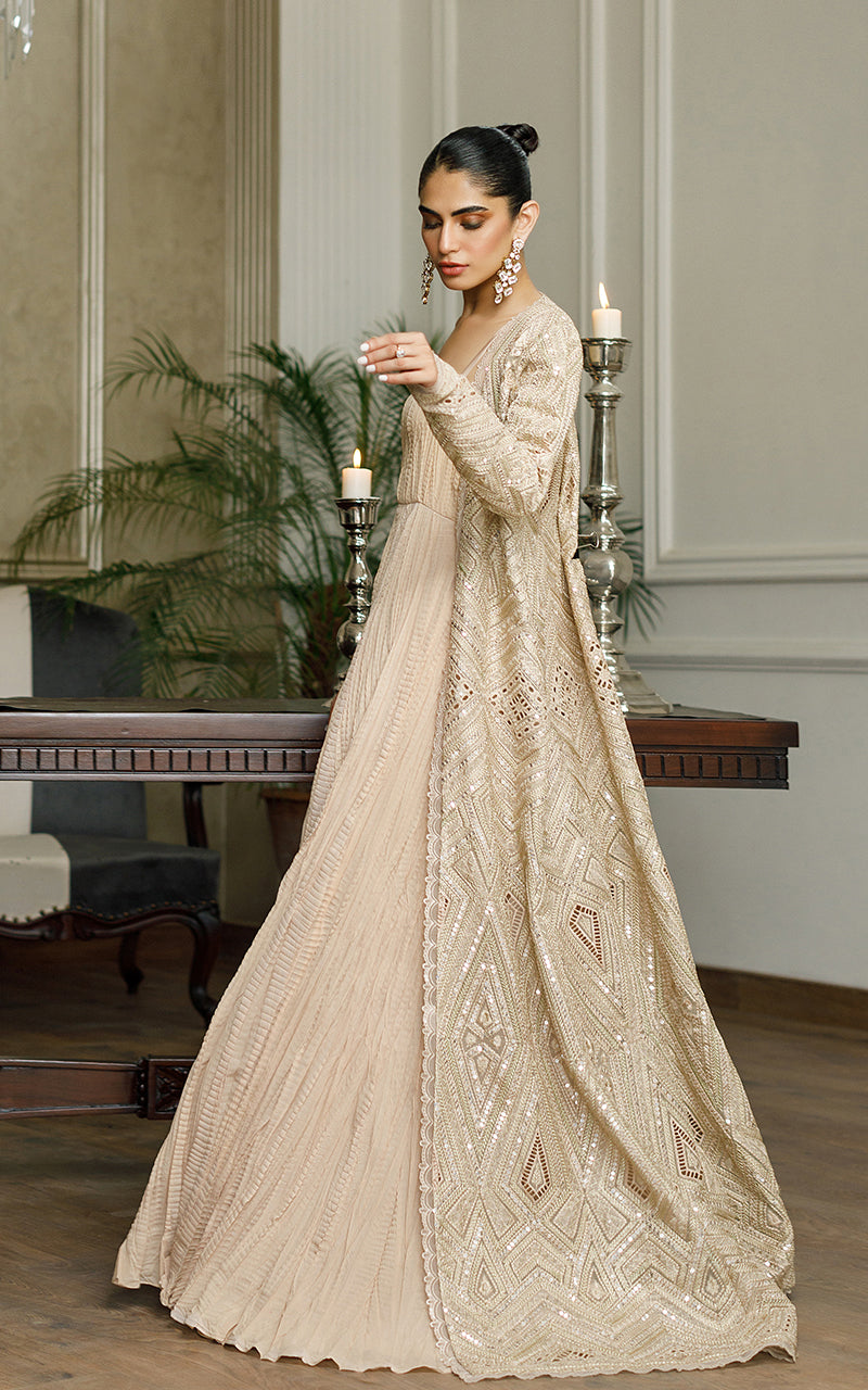 Pakistani Beige Embroidered Organza Jacket with Chiffon Maxi (2-Piece) - Image 4