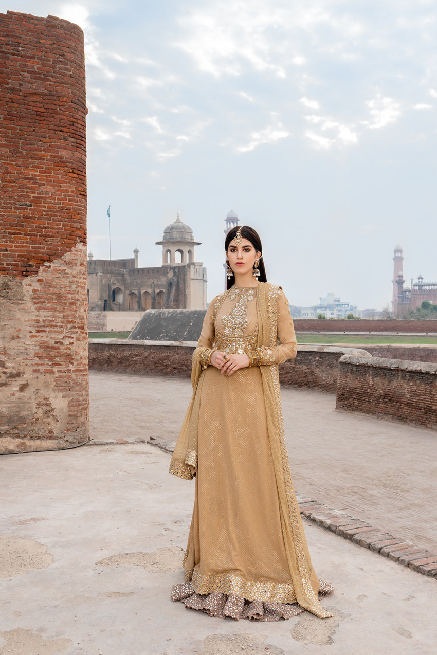 Beige Sheesha & Gota Chiffon Pishwas (3-Piece) - Image 2