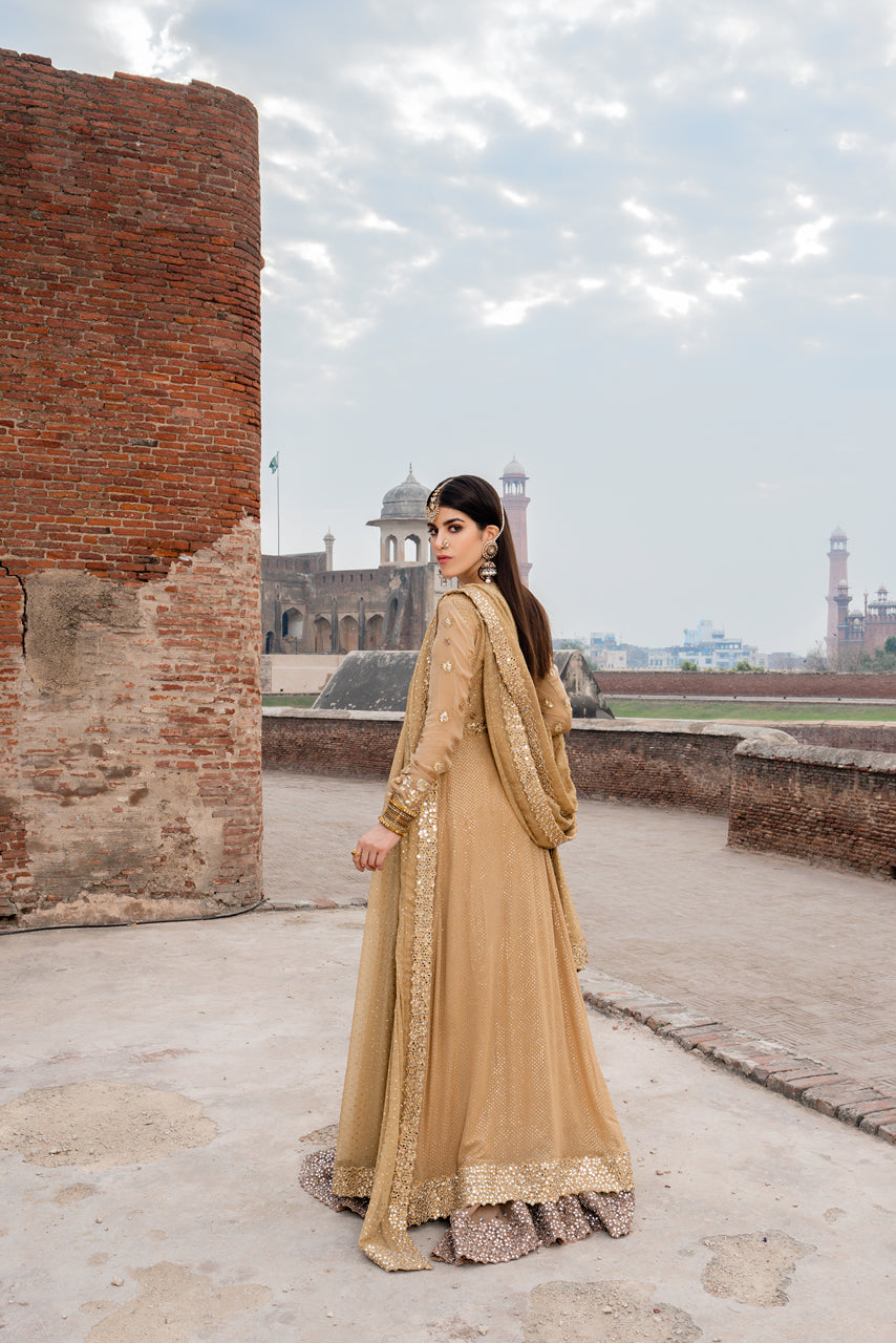 Beige Sheesha & Gota Chiffon Pishwas (3-Piece) - Image 4