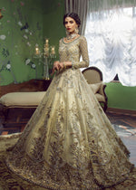 Beige Embellished Net Organza Pishwas (3-Piece) - Image 3