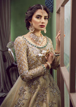 Beige Embellished Net Organza Pishwas (3-Piece) - Image 4