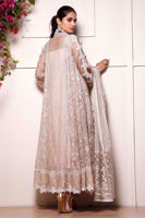 Butterscotch Embroidered Organza Pishwas (3-Piece) - Image 4