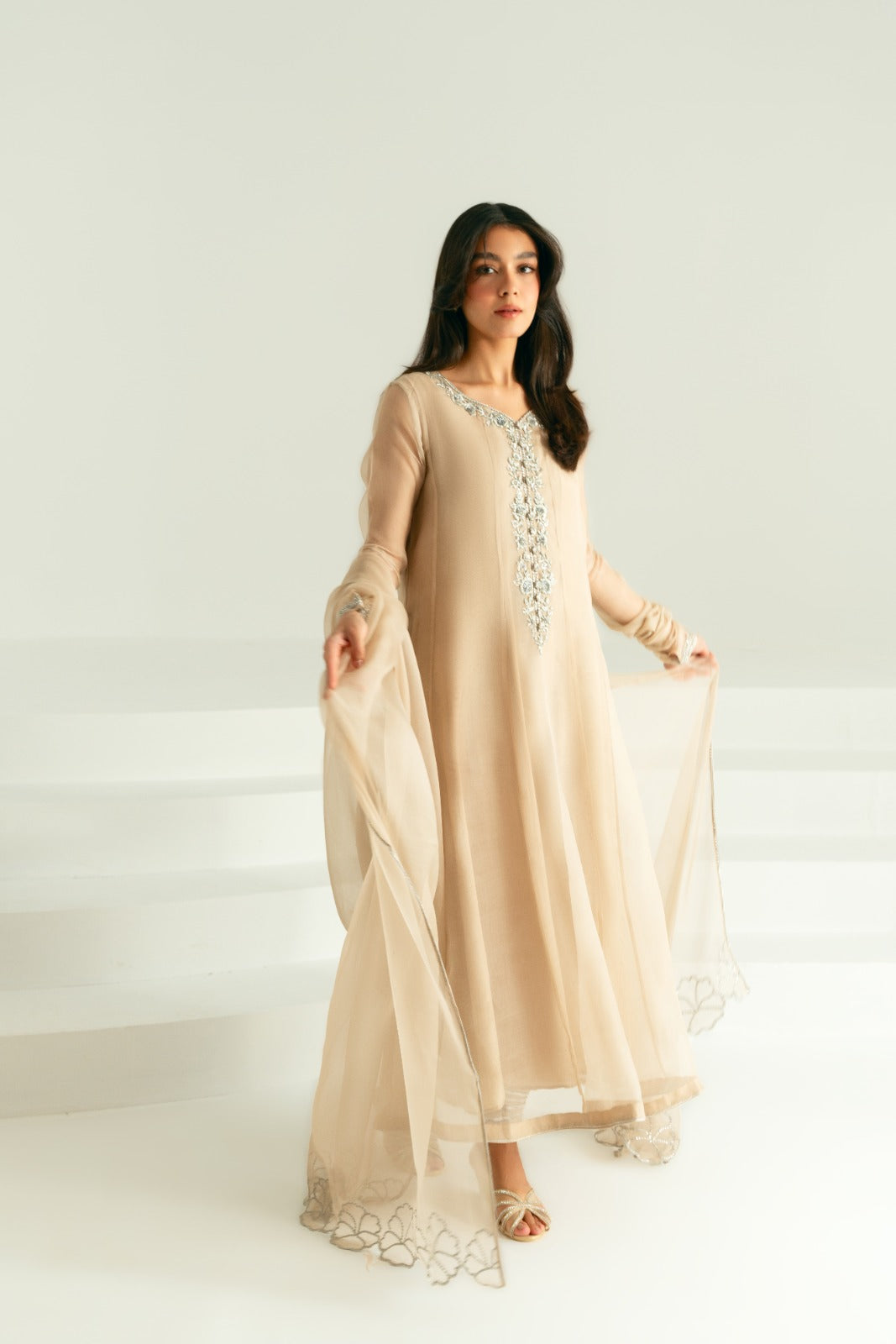 Taupe Silver Ada Work Pure Organza Pishwas (3-Piece) - Image 1