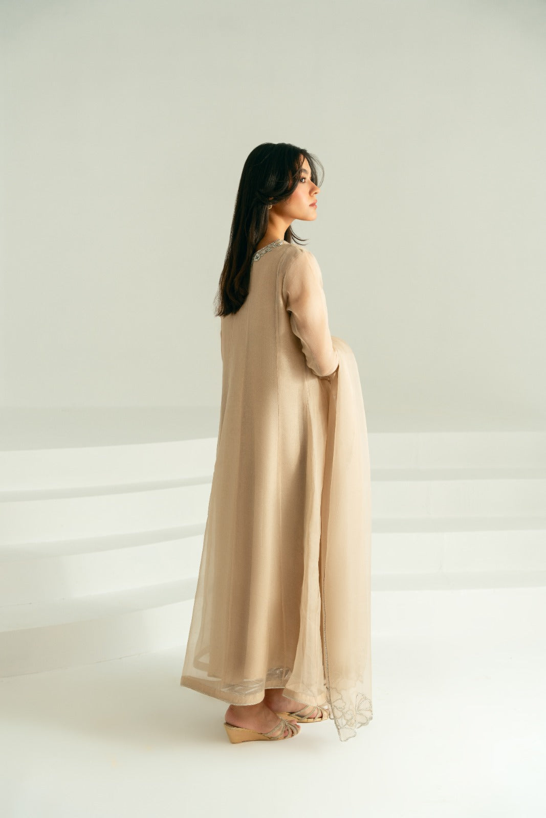 Taupe Silver Ada Work Pure Organza Pishwas (3-Piece) - Image 3