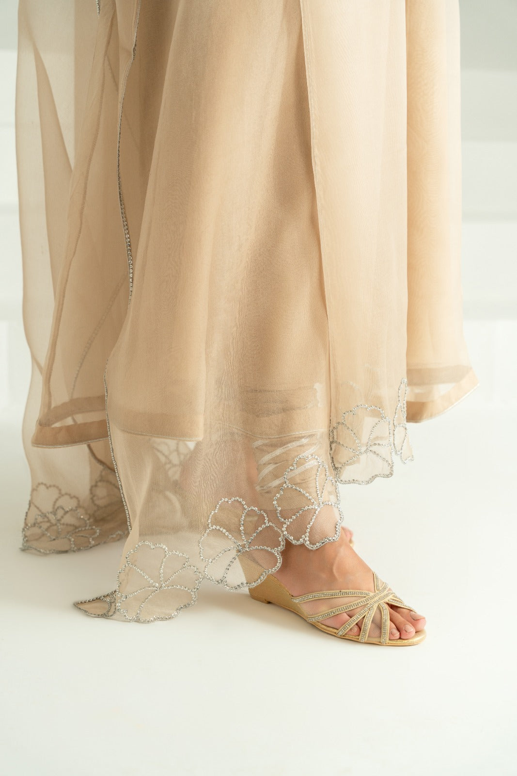 Taupe Silver Ada Work Pure Organza Pishwas (3-Piece) - Image 4