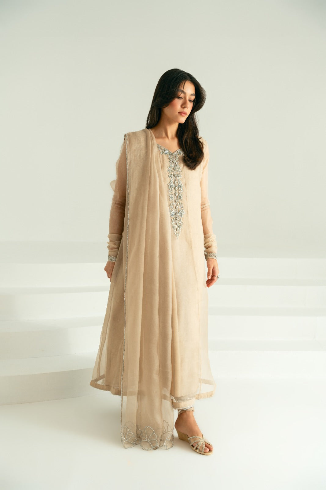 Taupe Silver Ada Work Pure Organza Pishwas (3-Piece) - Image 6