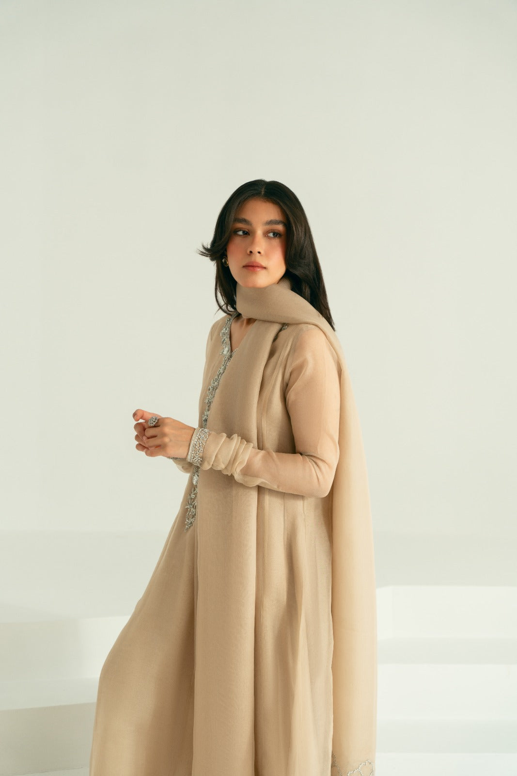 Taupe Silver Ada Work Pure Organza Pishwas (3-Piece) - Image 7