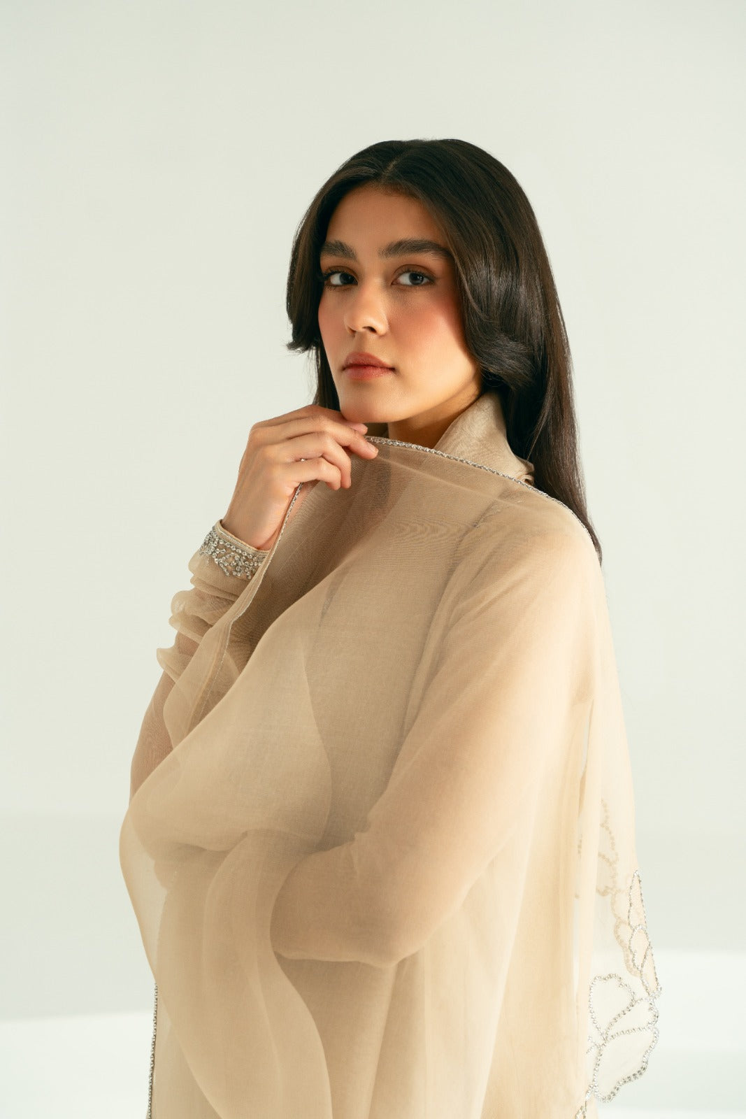 Taupe Silver Ada Work Pure Organza Pishwas (3-Piece) - Image 8