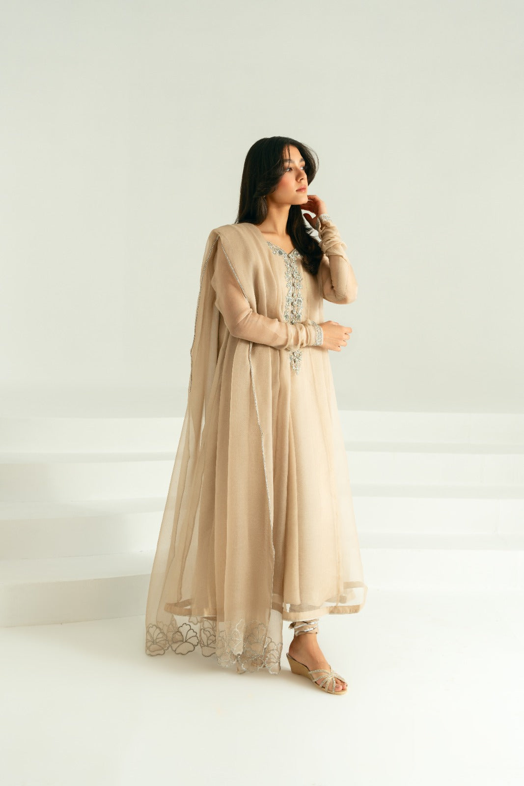 Taupe Silver Ada Work Pure Organza Pishwas (3-Piece) - Image 9