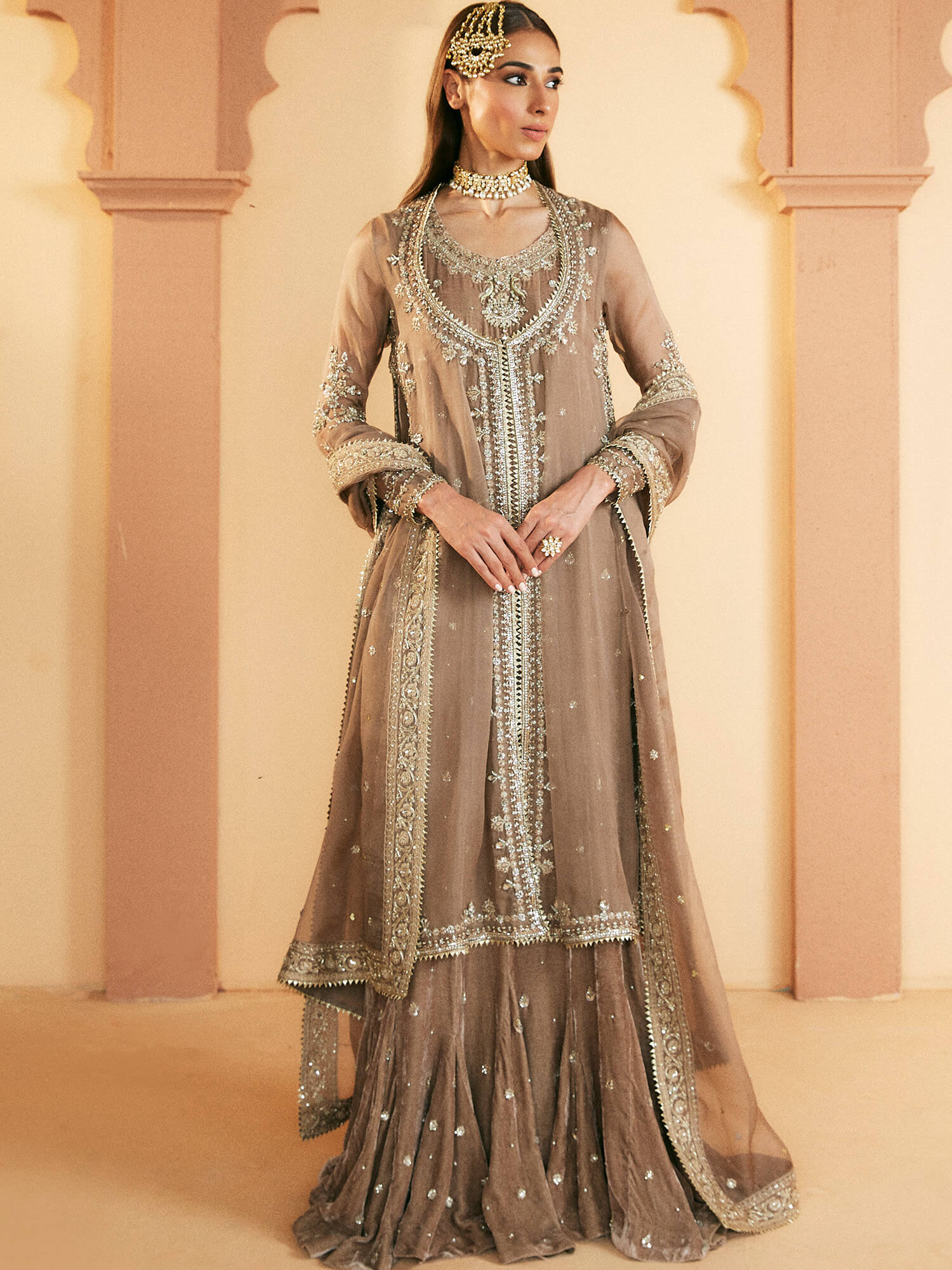 Pakistani Taupe Zardozi Embroidered Organza Velvet Pishwas (3-Piece) - Image 1