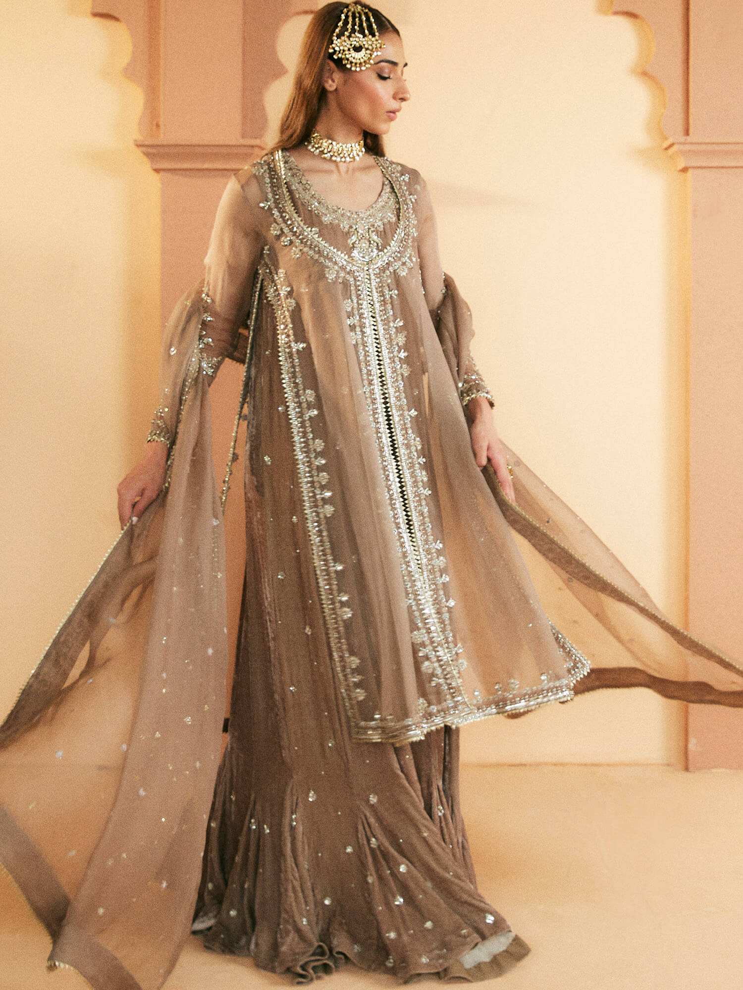 Pakistani Taupe Zardozi Embroidered Organza Velvet Pishwas (3-Piece) - Image 3